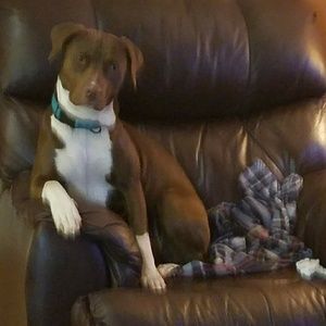 Meet your Posher, Nancy